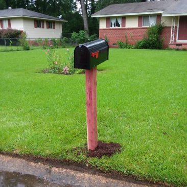 cedar post with black mailbox