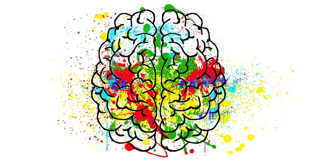 sketch of a brain with multiple colors splattered on it